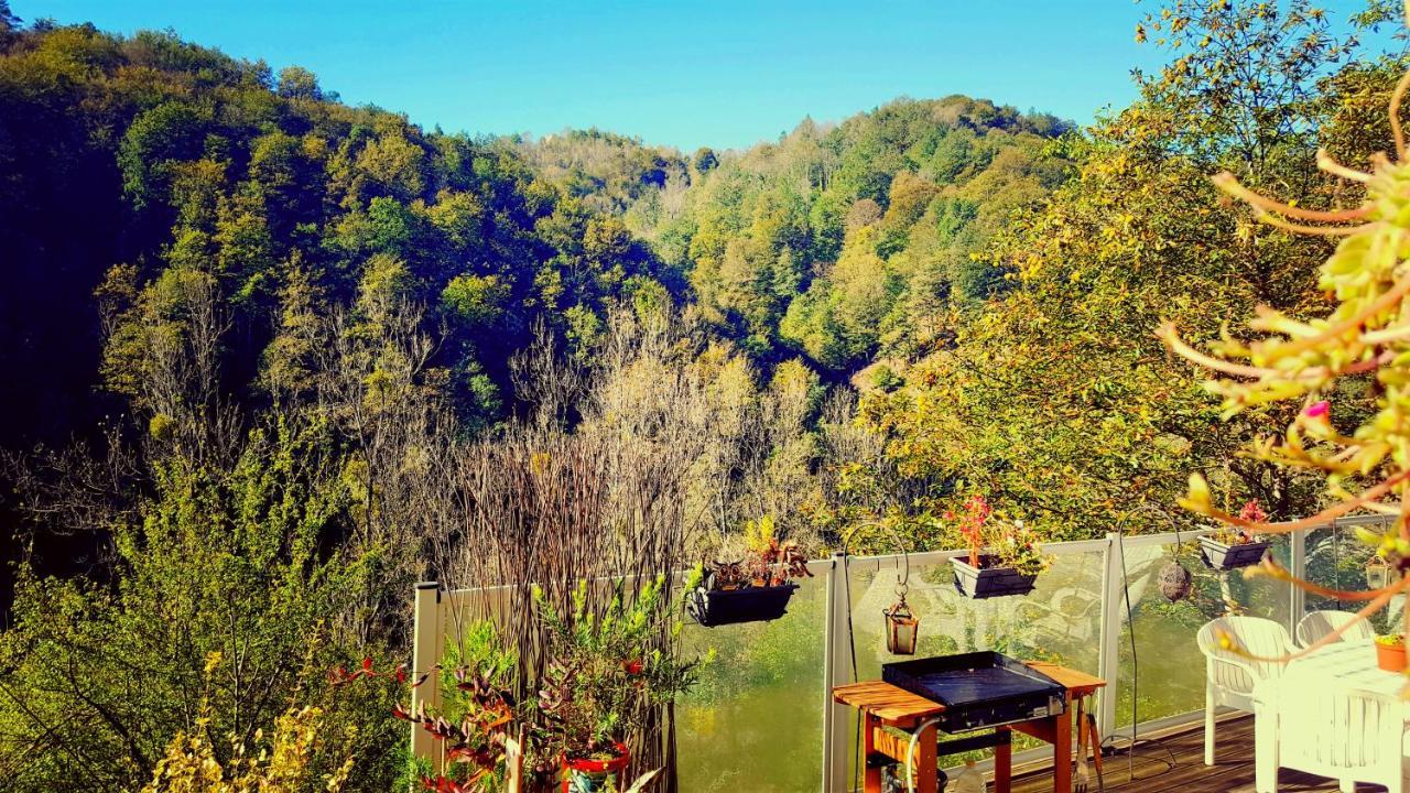 Skymist Maison D'Hotes Biert Dış mekan fotoğraf